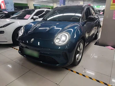 2025 Ora Good Cat 430km Honor Edition, фото 1, лот 10330772