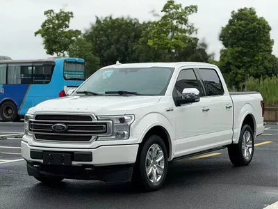 2019 Ford F-150 Raptor 3.5T LTD, фото 1, лот 10297107