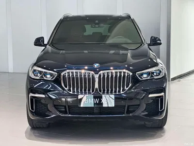 2022 BMW X5 Facelift xDrive 40Li M Sport Package, фото 2, лот 10462805