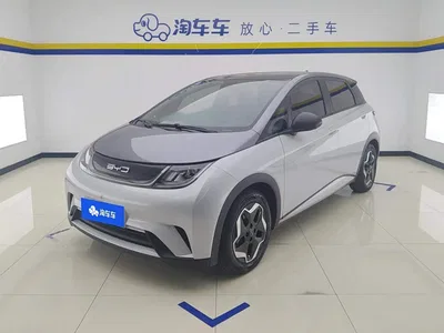 2021 BYD Dolphin Model 405km Fashion Edition, фото 1, лот 10245937