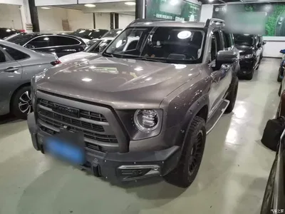 2022 Haval Big Dog Model 2.0T DCT AWD Howling Celestial Dog Hunting Edition, фото 2, лот 11408035