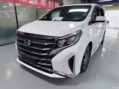 2020 GAC Trumpchi Trumpchi M8 390T Prestige, фото 1, лот 10284920