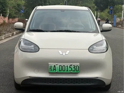 2024 Wuling Motors Wuling Bingo 333km Smart Connect Edition, фото 2, лот 10368030