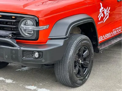 2021 Tank 300 Off-road Version 2.0T Conqueror, фото 4, лот 10344884