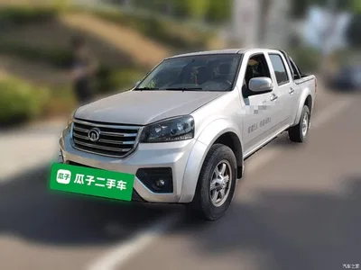 2020 Great Wall Fengjun 5 2.4L Petrol 2WD Elite Double Cab China VI 4K22D4M, фото 2, лот 11150124