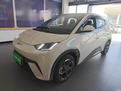 2024 BYD Seagull Glory Edition 305km Freedom Edition, фото 2, лот 10262517