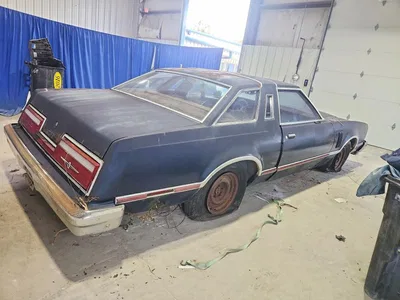 1978 FORD THUNDERBIRD, фото 3, лот 10978163
