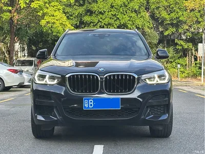 2020 BMW X3 xDrive28i M Sport Package, фото 2, лот 10240330
