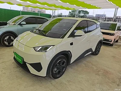2025 BYD Seagull Smart Drive Edition 305km Freedom Version, фото 2, лот 10260871
