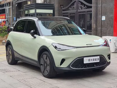 2022 smart Elf #1 Premium Edition, фото 3, лот 10343614