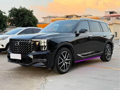2022 GAC Trumpchi Trumpchi GS8 Pilot Series 2.0TGDI 2WD Luxury Smart Connect Edition (7-Seater), фото 1, лот 11313083