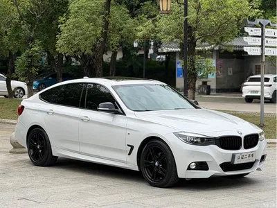 2019 BMW 3 Series GT 320i M Sport Model, фото 3, лот 10473319