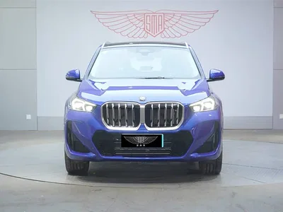 2024 BMW X1 sDrive25Li M Sport Package, фото 2, лот 10238965