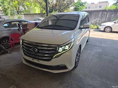 2018 GAC Trumpchi Trumpchi M8 320T Premium Edition, фото 2, лот 10422387