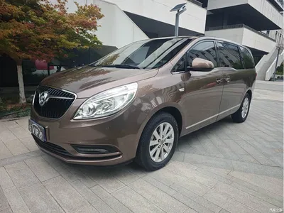 2018 Buick GL8 28T Luxury Model China VI, фото 1, лот 10250870