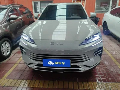 2025 BYD Song PLUS PHEV DM-i 112KM Premium, фото 2, лот 10273951