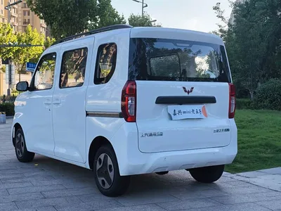 2025 Wuling Motors Wuling Zhiguang NEV Model 305km Base Version, фото 4, лот 10836406