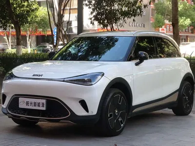 2024 smart Elf #1 Platinum Edition, фото 1, лот 10353620