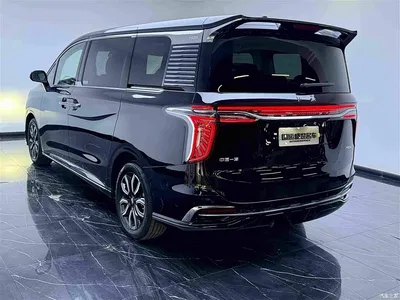 2023 Hongqi HQ9 2.0T Smart Connect Flag Smooth Edition, фото 4, лот 11062246