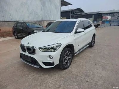 2018 BMW X1 xDrive20Li Premium Model, фото 1, лот 10467532