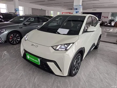 2024 BYD Seagull Glory Edition 305km Freedom Edition, фото 2, лот 10262814