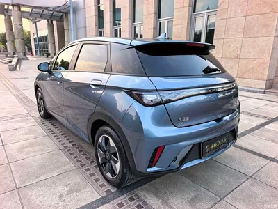 2025 BYD Dolphin 420km Fashion Edition, фото 4, лот 10658386