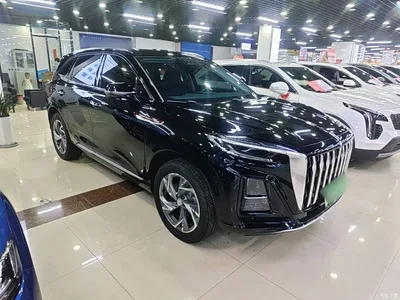 2024 Hongqi HS3 PHEV PHEV 115km Power Edition, фото 4, лот 10289304