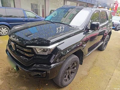 2024 Tank 400 New Energy Hi4-T Off-Road Edition, фото 1, лот 11081499