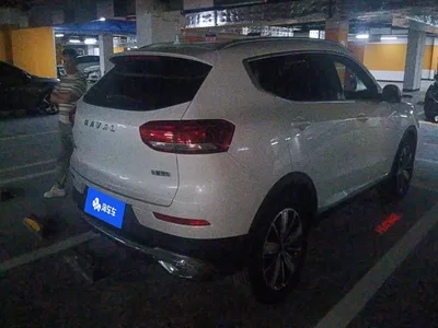2021 Haval H6 Model 1.5T Automatic Champion Edition, фото 3, лот 10450605