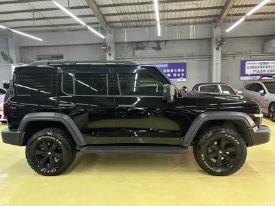 2023 Tank 300 Off-Road Edition 2.0T Challenger, фото 4, лот 10344784