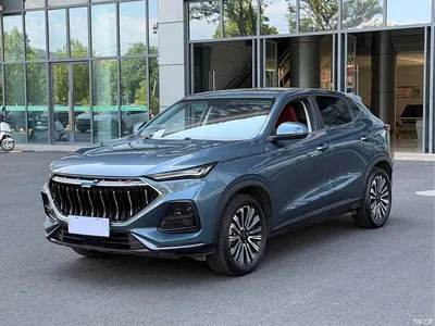 2021 Changan Oshan Changan Oushang X5 1.5T DCT Luxury, фото 1, лот 11170831