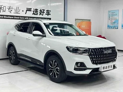 2023 Haval H6 National Trend Edition 1.5T Automatic Urban, фото 3, лот 10299206