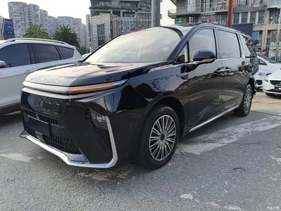 2024 SAIC Maxus Dajia 9 Super Hybrid Extended Range Alpine Edition 7-Seater, фото 2, лот 11159037