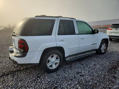 2003 CHEVROLET TRAILBLAZER, фото 3, лот 10975911