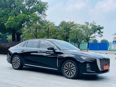 2024 Hongqi H5 2.0T Automatic Smart Connect Flag Smooth Edition, фото 3, лот 11181731