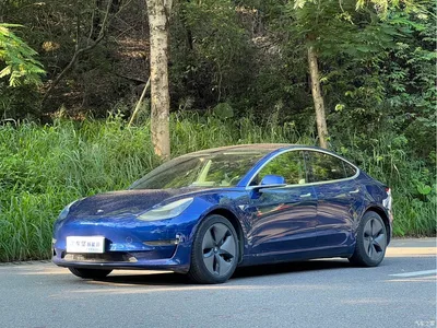 2019 Tesla Model 3 (Import) Performance High-Efficiency All-Wheel Drive Version, фото 1, лот 10351814