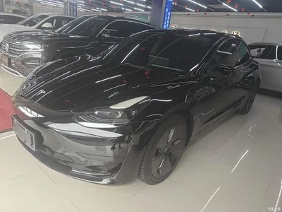 2022 Tesla Model 3 Model Rear-Wheel Drive Version, фото 2, лот 10889405