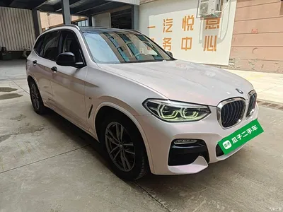 2018 BMW X3 xDrive25i M Sport Package China VI, фото 4, лот 10461817