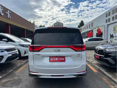 2023 GAC Trumpchi Trumpchi M8 Leading Series 390T Ultimate Edition, фото 3, лот 10420044