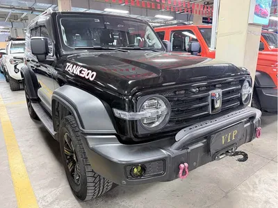 2023 Tank 300 Off-Road Edition 2.0T Conqueror, фото 3, лот 11194899