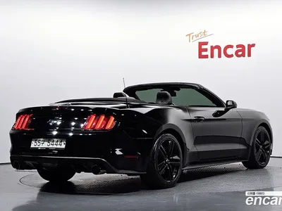 2017 Ford Mustang Convertible, фото 1, лот 10202480