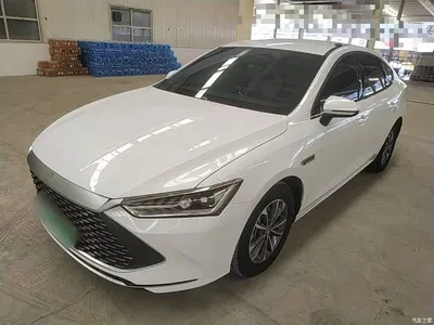 2024 BYD Qin PLUS Glory Edition DM-i 55KM Leading, фото 2, лот 10387470