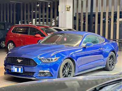 2017 Ford Mustang 2.3T Sport Edition, фото 1, лот 10297716
