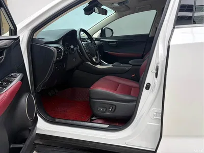 2020 Lexus NX 200 AWD F Sport China V, фото 3, лот 10319002