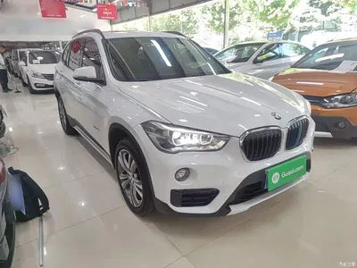 2018 BMW X1 sDrive18Li Premium Model, фото 4, лот 10467721