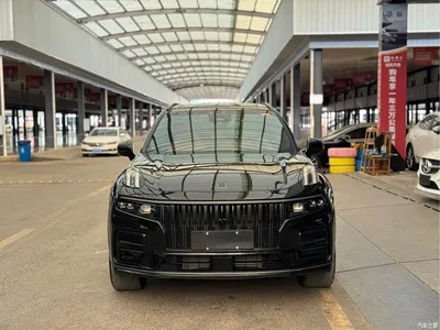 2021 Lynk & Co 09 2.0T Halo 7-seater, фото 2, лот 10315763