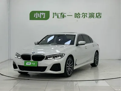 2022 BMW 3 Series 320Li M Sport Package, фото 1, лот 11188468