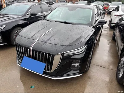 2025 Hongqi H5 1.5T DCT Qiyue 500,000 Units Commemorative Edition, фото 1, лот 10361014