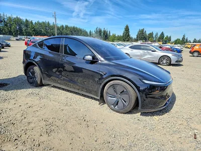 2026 TESLA MODEL Y, фото 4, лот 10971132