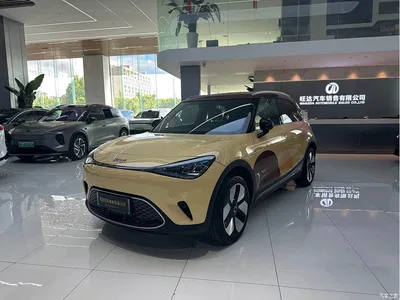 2025 smart Elf #1 Black Gold Spirit Limited Edition, фото 1, лот 10344656